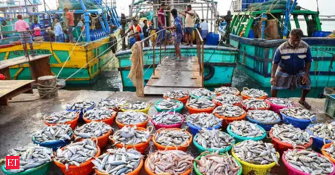 India seafood exports to US fall amid tariffs