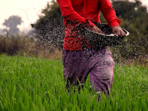 IBA seeks 10% compulsory fermented organic manure blending target by 2030 ET logo