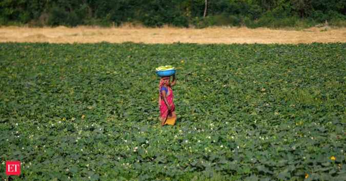El Nino spells trouble for kharif harvests across India ET logo