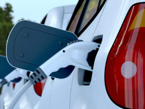 State Banks & insurers told to cut global travel, switch to EVs in austerity push image (17)