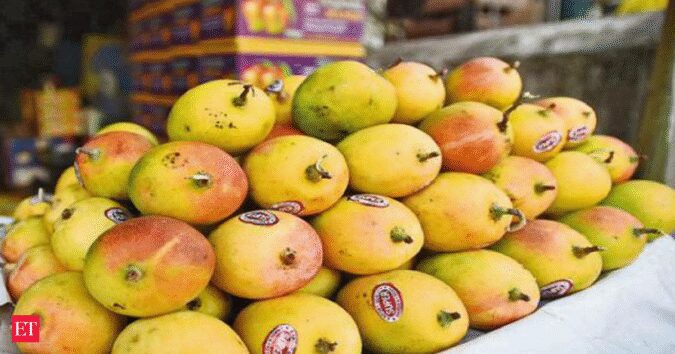 No love in Tokyo for mangoes from India this season No Love in Tokyo for Mangoes from India this Season