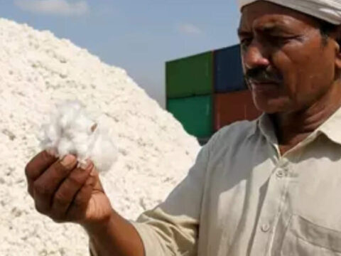 Govt in ‘advanced stage of consultation’ on industry’s demand for cotton import duty removal ET logo