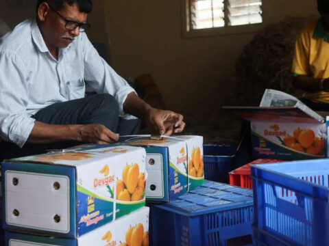 India’s prized Alphonso mango crop ruined by weather ET logo