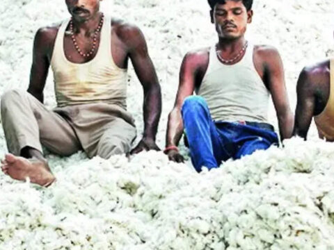 Cotton prices down 3% on import duty suspension, may slide more ET logo