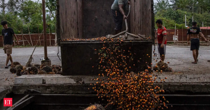 Indian refiners shift to soyoil in May as palm oil loses price advantage ET logo