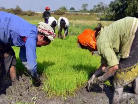 States asked to focus on sowing pulses, oilseeds ET logo