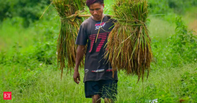 Odisha doubles rice milling charges, to encourage paddy procurement