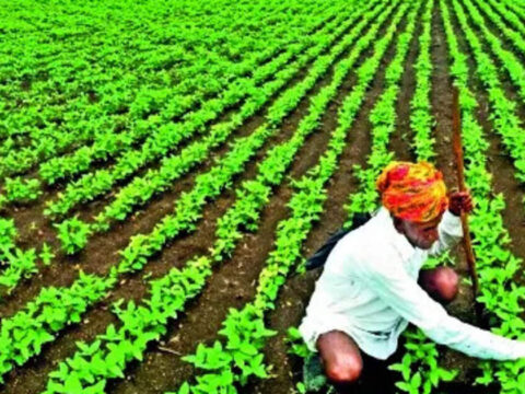 FTA talks with EAEU likely to take up agri, marine goods