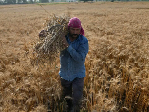 El Niño Clouds Loom over Kharif Crops<br>