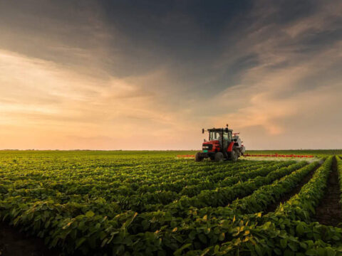 BRICS+ agriculture beyond borders: Trade and resilience for a food-secure world ET logo