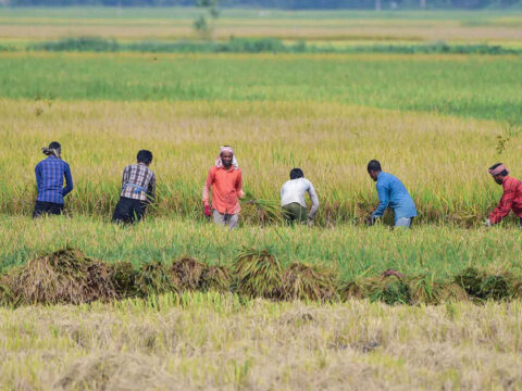South Asia can generate millions of jobs through agriculture sector: World Bank Group ET logo