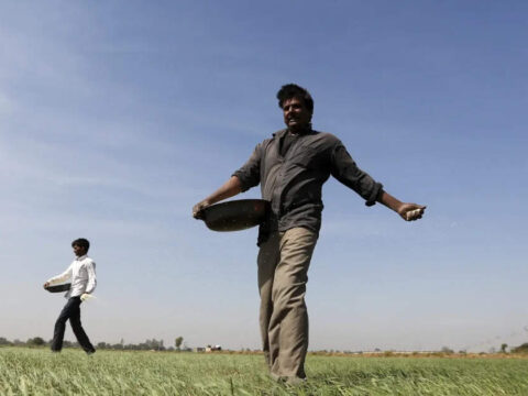 Hormuz may reopen, but fertiliser relief is still months away for India ET logo