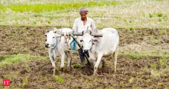 Weak monsoon threat looms; food inflation fears rise