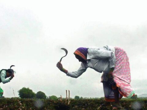 El Nino to hit 9-10 states severely; Chouhan calls for district-level contingency plans for Kharif ET logo