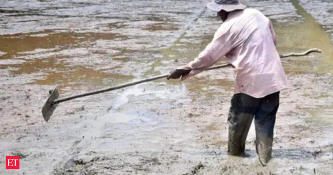 Why a strong El Niño leaves tropical commodities acutely exposed ET logo