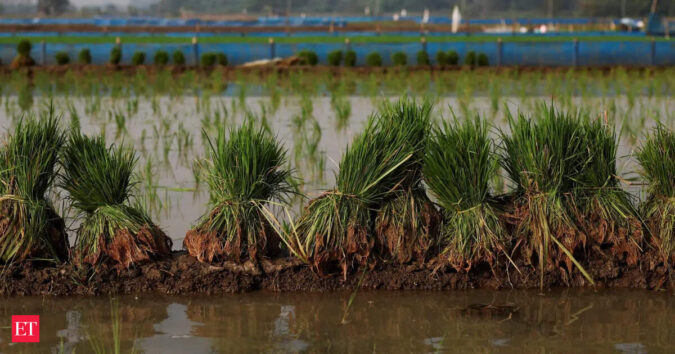 Govt readies farm safety net with banks, insurers as El Nino looms ET logo