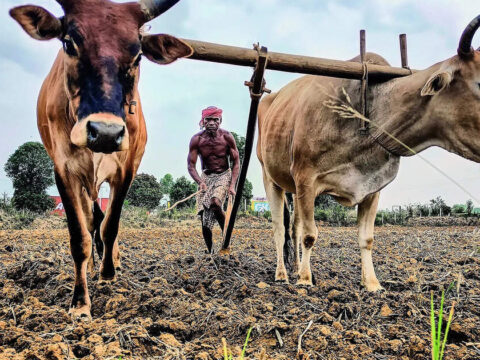 India's Monsoon watch