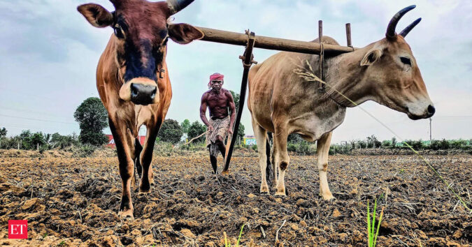 India's Monsoon watch