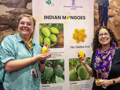 Aam in Aam, Indians in US savour taste of home