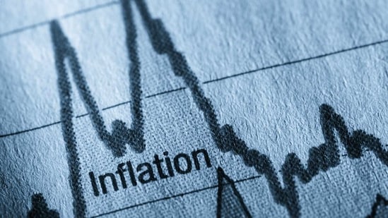 The new Wholesale Price Index (WPI) shifted the base year from 2011-12 to 2022-23 and tweaked items in the fuel and food categories (Representational)