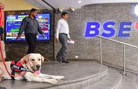 Sensex jumps over 300 points at open as markets rebound after Monday’s selloff A security personnel with a sniffer dog keeps vigil as people walk out of the Bombay Stock Exchange building in Mumbai. (PTI)