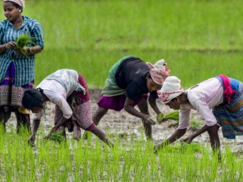 Kharif sowing slow, 15 more districts face rain deficiency ET logo