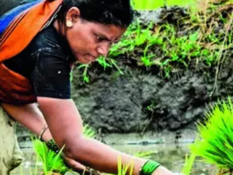 Rainfall deficit narrows to 24%, to boost Kharif sowing in July A 40% Rainfall Deficit