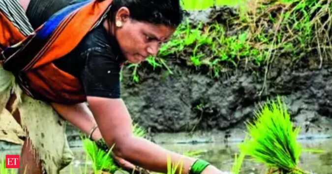 Rainfall deficit narrows to 24%, to boost Kharif sowing in July A 40% Rainfall Deficit