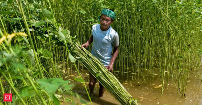 Jute stock curbs withdrawn as record acreage signals end of shortage ET logo