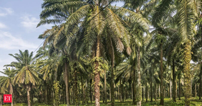 Godrej Agrovet to set up Rs 300-cr oil palm complex in Telangana ET logo