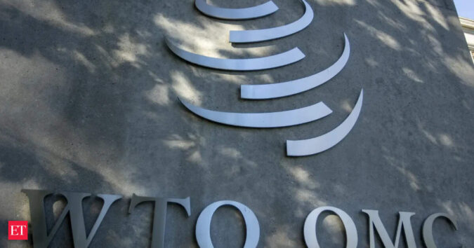 India raises questions at WTO over interim arrangement to implement e-commerce pact ET logo