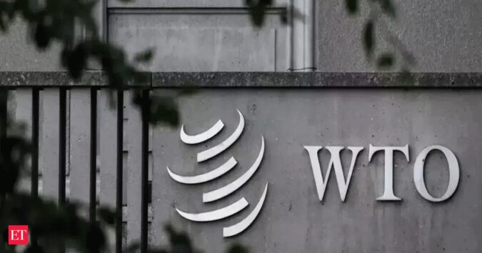 India raises questions at WTO over interim arrangement to implement e-comm pact ET logo