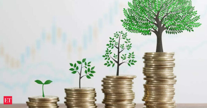 Global shocks may hit quarterly growth, but India’s long-term outlook remains strong: PwC’s Rara ET logo
