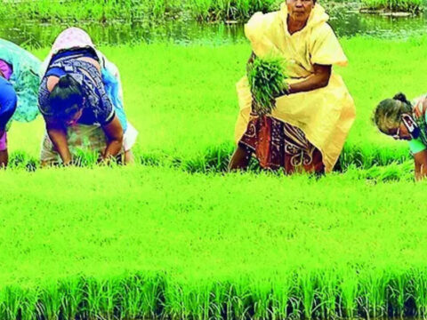 Kharif crop acreage to rise as sowing window remains open till August 15: Shivraj Singh Chouhan Kharif crop acreage to rise as sowing window remains open till August 15: Shivraj Singh Chouhan