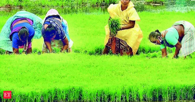 Kharif crop acreage to rise as sowing window remains open till August 15: Shivraj Singh Chouhan