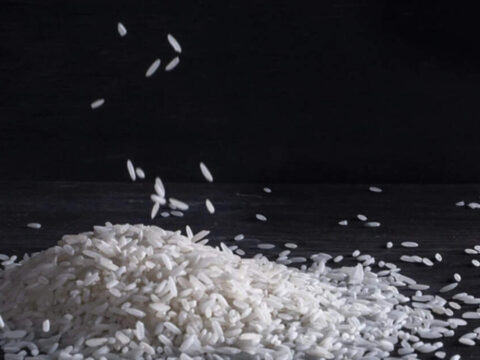 Indian rice export prices extend gain on higher reserve price, monsoon concerns ET logo
