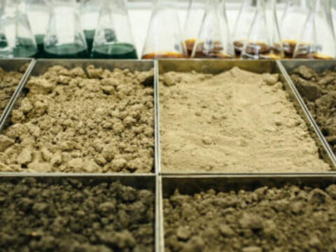 Dr Reddy’s Foundation soil testing lab set to hit 1-lakh sample mark ahead of 2026 rabi season ET logo
