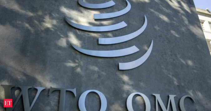 India reiterates WTO-consistent trade policy, calls for development-oriented reforms ET logo