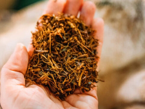 Steps likely to safeguard FCV tobacco farmers Steps likely to safeguard FCV tobacco farmers
