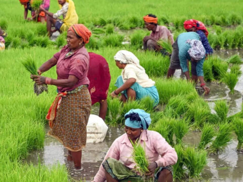 PM-KISAN scheme gets 5-year extension and Rs 3.1 lakh crore PM-KISAN scheme gets 5-year extension and Rs 3.1 lakh crore