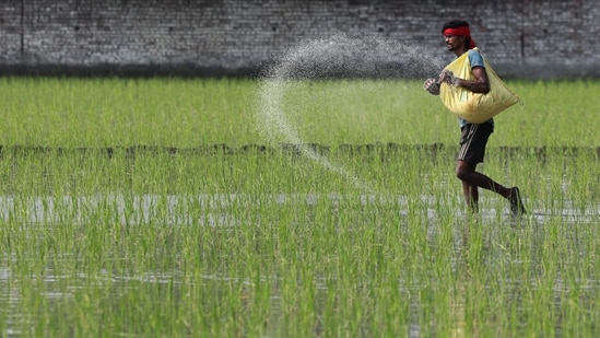 Strait of Hormuz reopening eases fertiliser worries in India, but August is key India produces roughly 75% of its urea, 45% of its DAP, and 50% of its NPK fertiliser requirements, while its MOP supply is entirely dependent on imports. (FILE PHOTO)