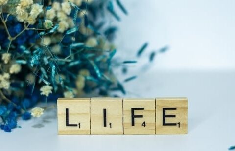 Estimating the required life cover is only the first step. You must then consider the type of policy, the insurer and the riders you wish to add.