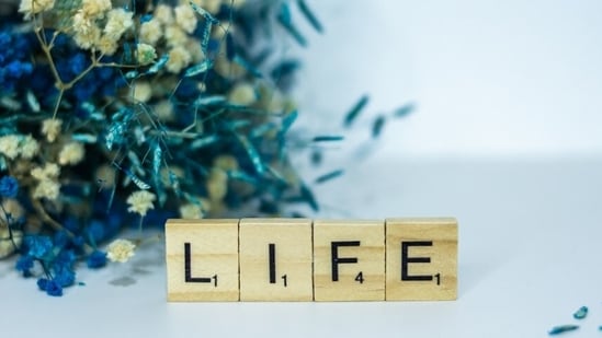 Estimating the required life cover is only the first step. You must then consider the type of policy, the insurer and the riders you wish to add.