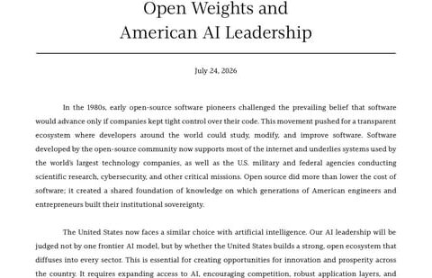 AI Leadership