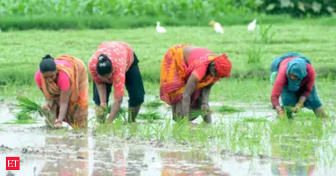 Kharif sowing dips 3% to 894 lakh ha despite 81% coverage of normal area ET logo