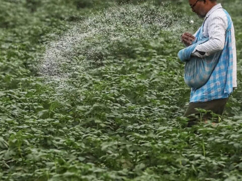 Fertiliser Production, Imports Dip