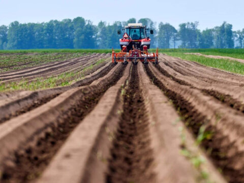 Kharif Sowing Near Normal as Rainfall Deficit Shrinks