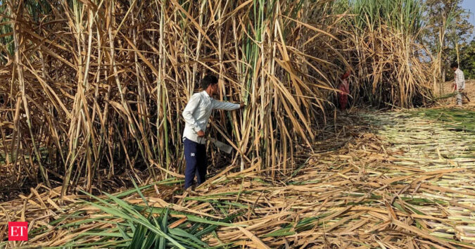 Sugar mills unlikely to advance crushing season despite promise to govt: Industry officials Sugar mills unlikely to advance crushing season despite promise to govt: Industry officials