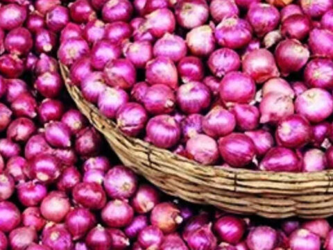 Onion prices jump to Rs 27/kg at Lasalgaon amid delayed kharif crop arrival from South India ET logo