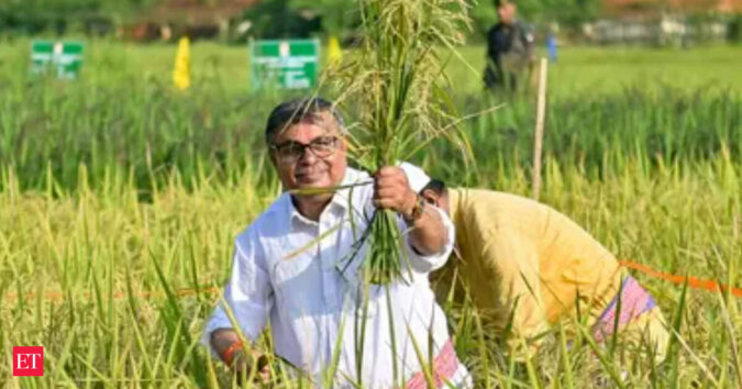 India’s crop insurers seek data protection law to expedite farm innovation ET logo